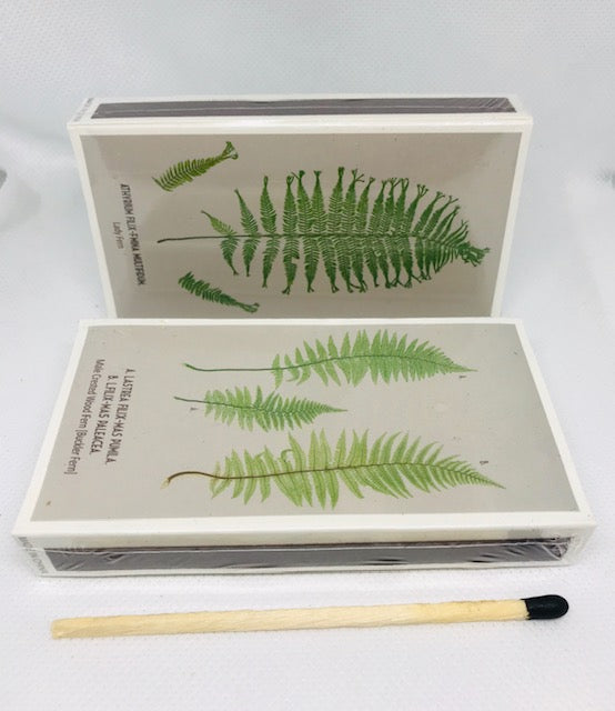 Match Boxes - Hawaiian Ferns
